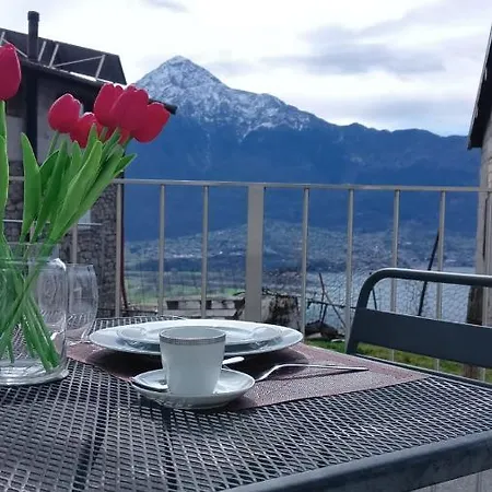 Alex - Pace E Relax Sul Di *