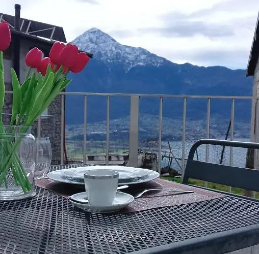 Alex - Pace E Relax Sul Di *